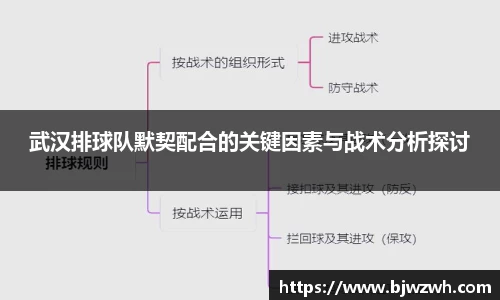 武汉排球队默契配合的关键因素与战术分析探讨