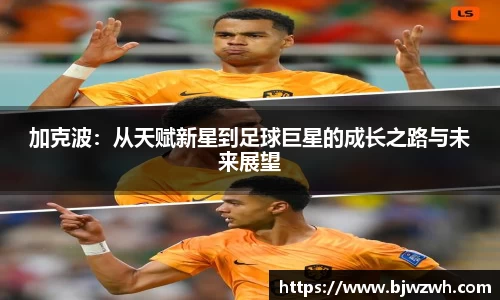 yy易游体育官网